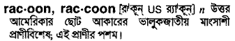 Racoon meaning in bengali