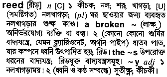 Reed meaning in bengali