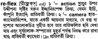 Reflex meaning in bengali