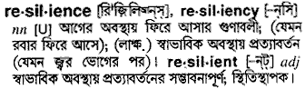 Resilience meaning in bengali