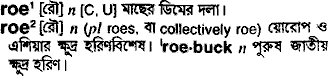 Roe meaning in bengali