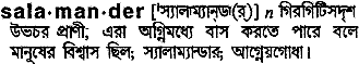 Salamander meaning in bengali