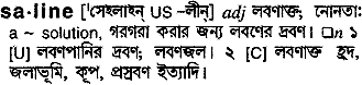 Saline meaning in bengali