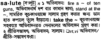 Salute meaning in bengali