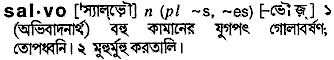 Salvo meaning in bengali