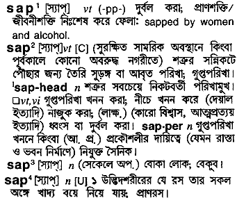 Sap meaning in bengali