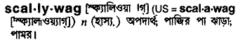 Scallywag meaning in bengali