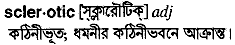 sclerotic 
 meaning in bengali