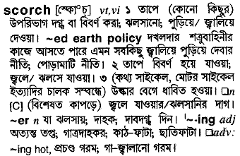 scorch 
 meaning in bengali