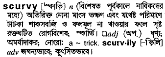 scurvy 
 meaning in bengali