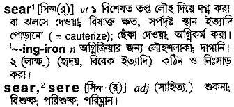 sear 
 meaning in bengali