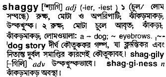 shaggy 
 meaning in bengali