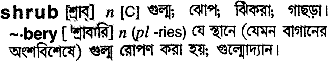 Shrub meaning in bengali