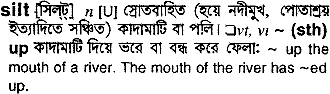 Silt meaning in bengali