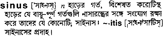 Sinus meaning in bengali