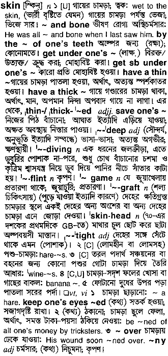 Skin meaning in bengali