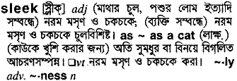 Sleek meaning in bengali