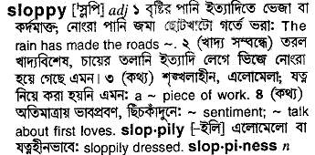 Sloppy meaning in bengali