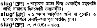 Slug meaning in bengali