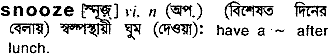 Snooze meaning in bengali