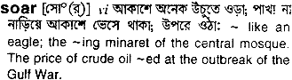 Soar meaning in bengali