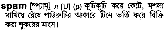 Spam meaning in bengali