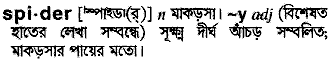 Spider meaning in bengali