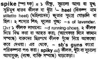 Spike meaning in bengali