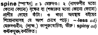 Spine meaning in bengali