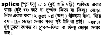 Splice meaning in bengali