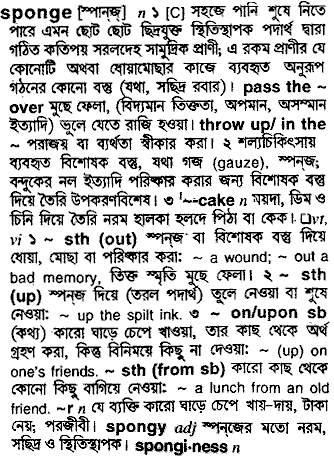 Sponge meaning in bengali