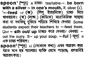 Spoon meaning in bengali