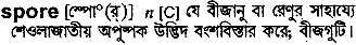 Spore meaning in bengali