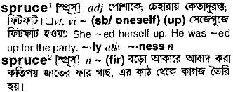 Spruce meaning in bengali