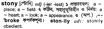 Stony meaning in bengali