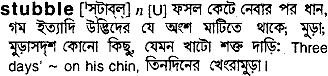 Stubble meaning in bengali