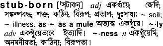 Stubborn meaning in bengali