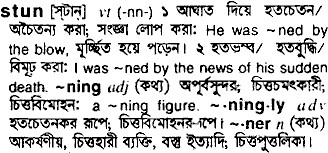 Stun meaning in bengali