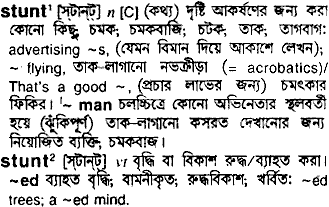 Stunt meaning in bengali