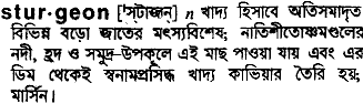 sturgeon 
 meaning in bengali