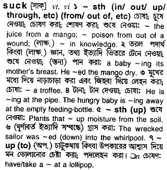 Suck meaning in bengali