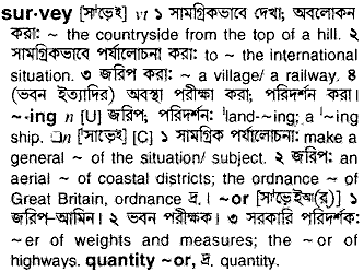 Survey meaning in bengali