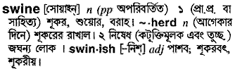 Swine meaning in bengali