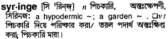 Syringe meaning in bengali