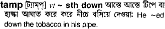 Tamp meaning in bengali