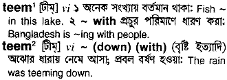 Teem meaning in bengali