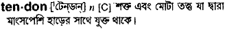 Tendon meaning in bengali