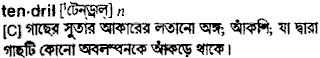 Tendril meaning in bengali