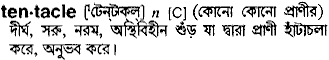 Tentacle meaning in bengali