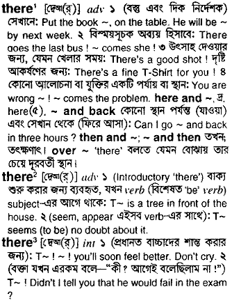 There meaning in bengali